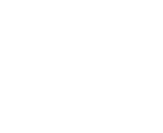 Dan Berg logo stående hvit